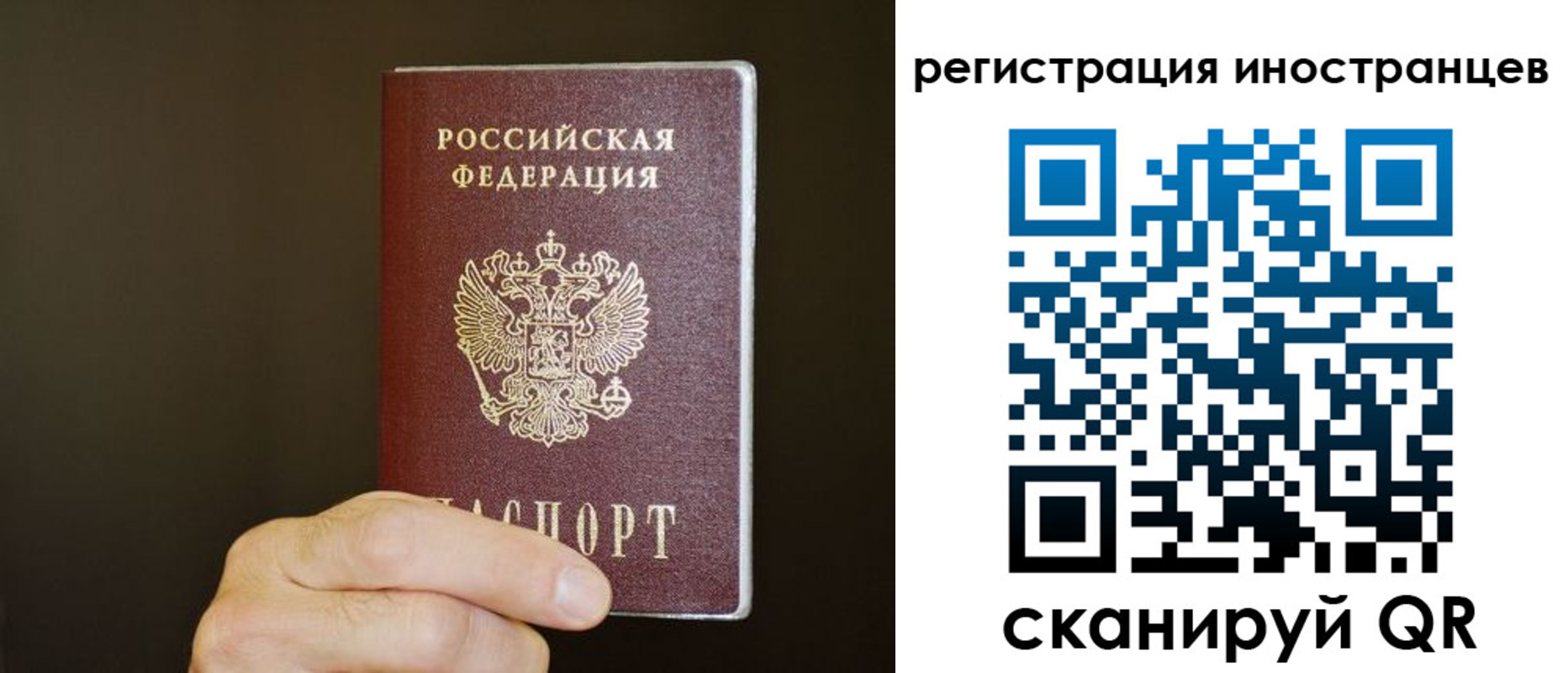прописка в Сланцах